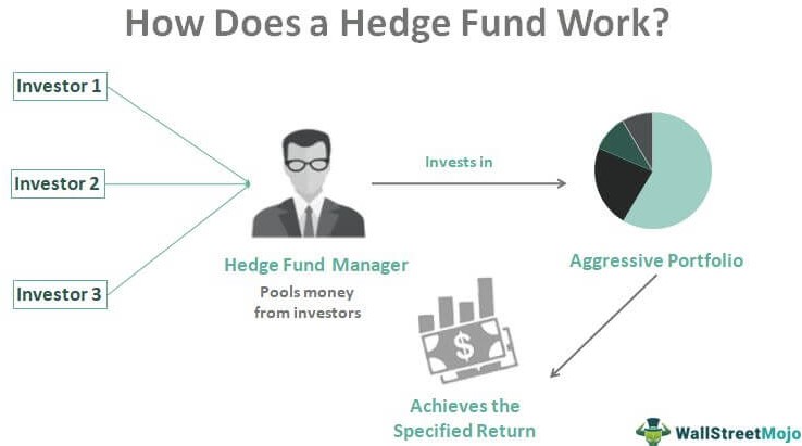 The Role of Hedge Funds in an Investment Portfolio